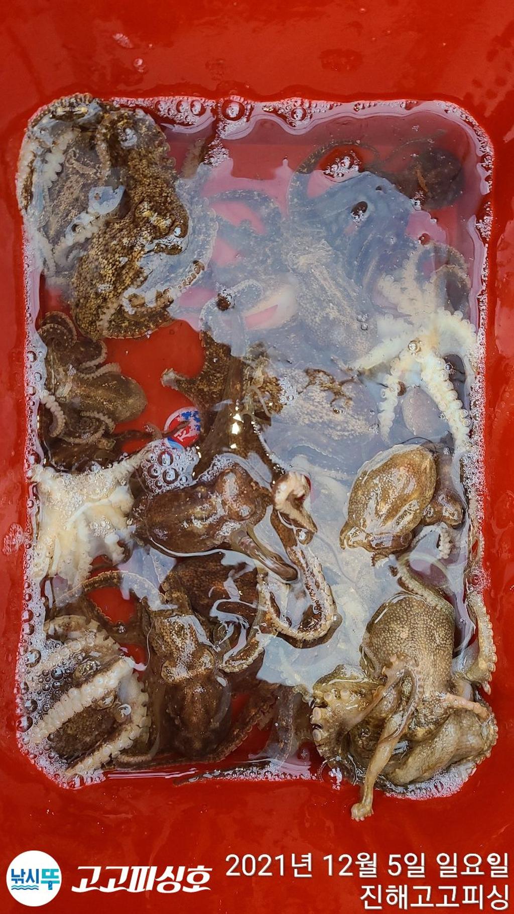 F1561255L0.jpg