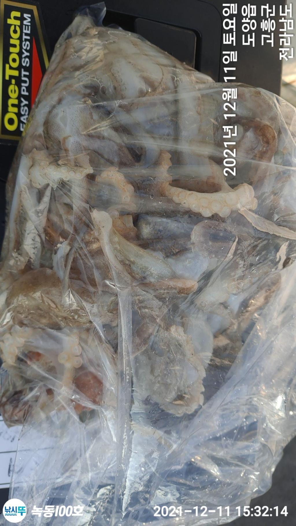 F1564387F8.jpg