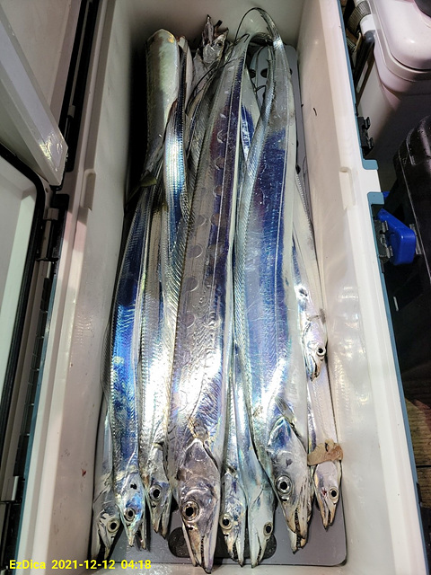 F1565028Y5.jpg