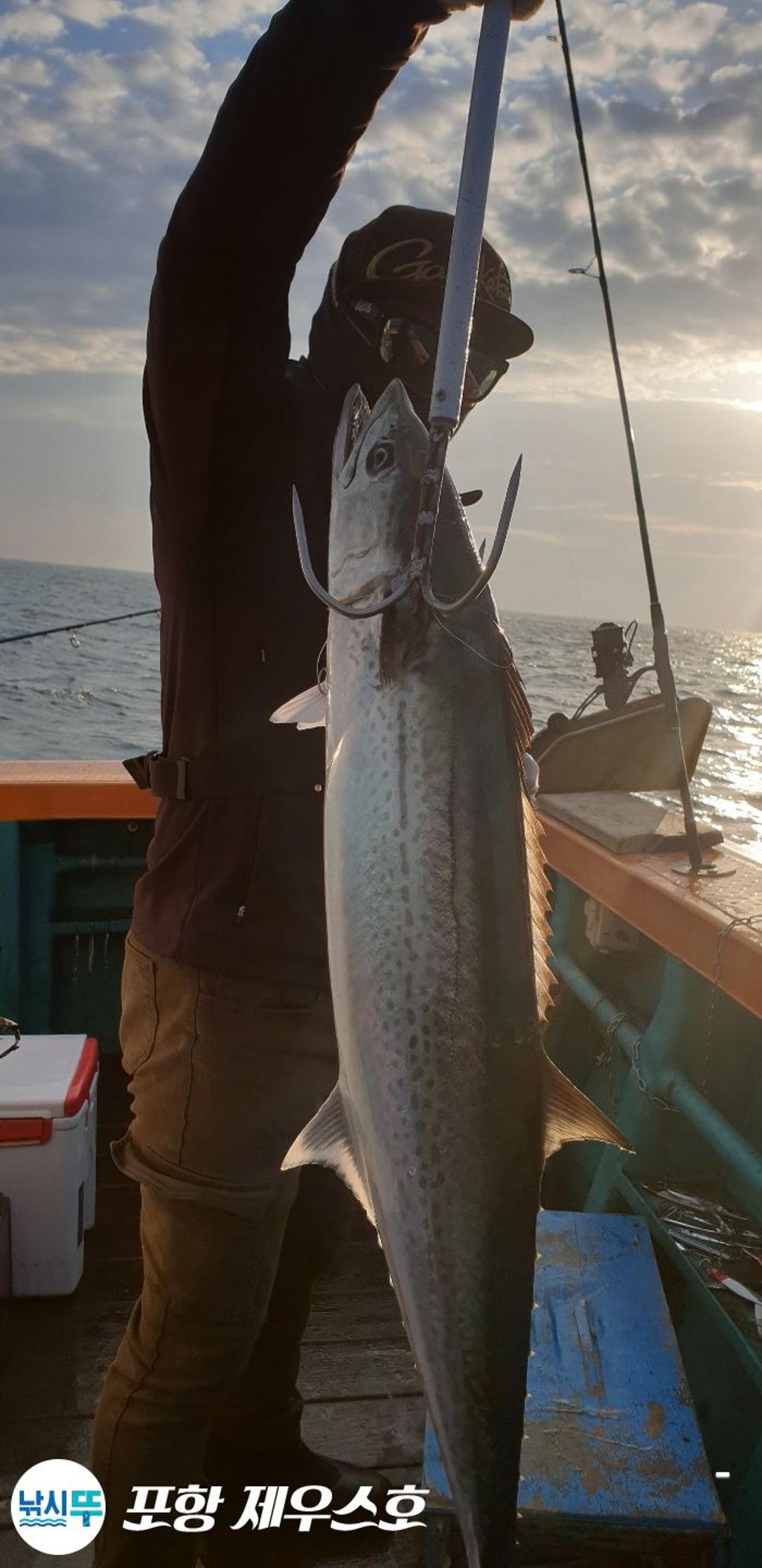 낚시뚜,방어,삼치,영일만항,포항 제우스호,낚시뚜35