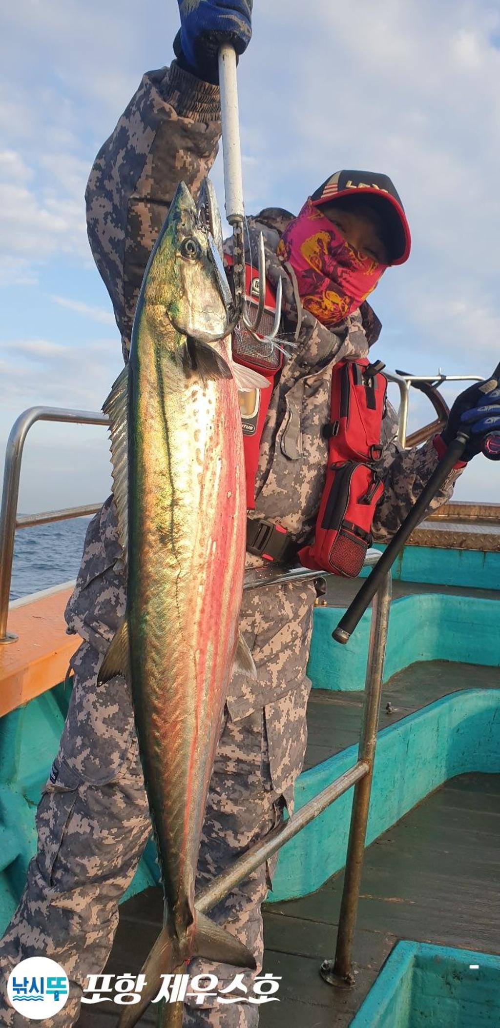 낚시뚜,방어,삼치,영일만항,포항 제우스호,낚시뚜34