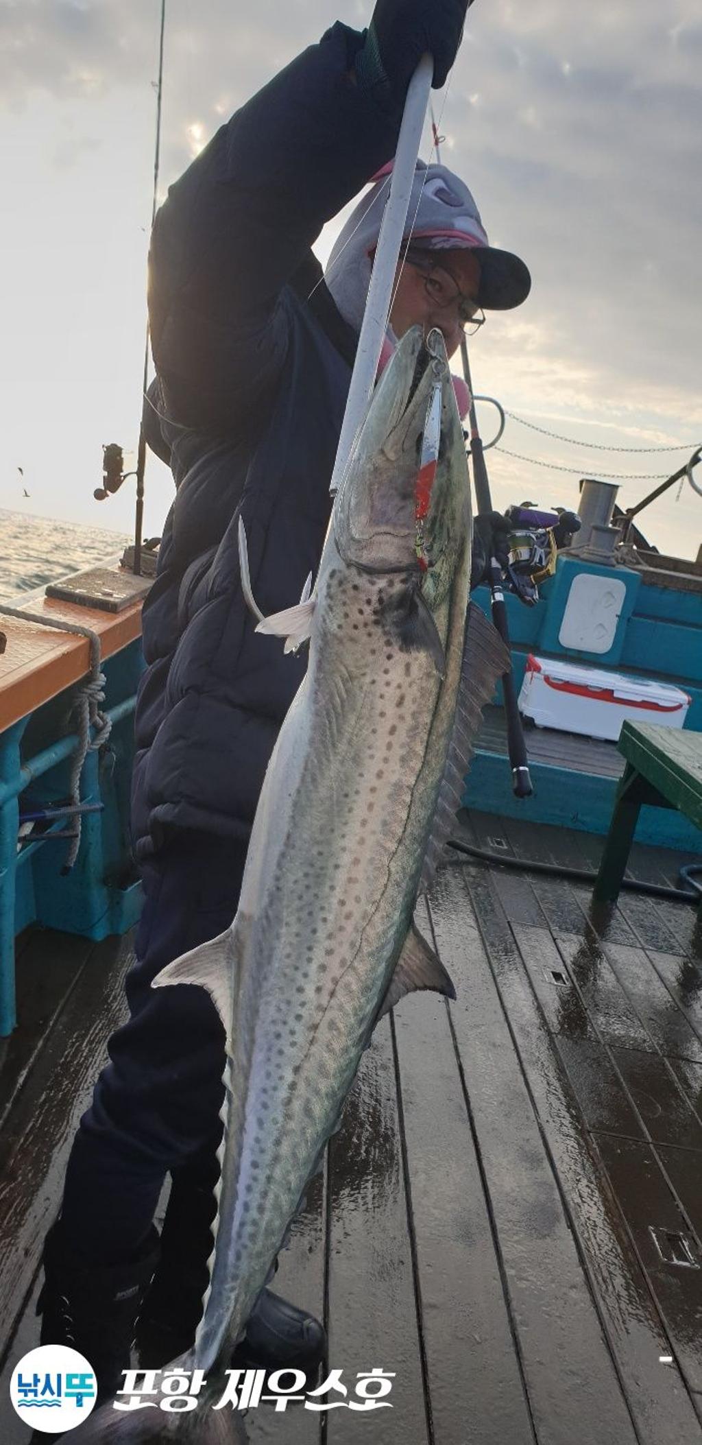 낚시뚜,방어,삼치,영일만항,포항 제우스호,낚시뚜33