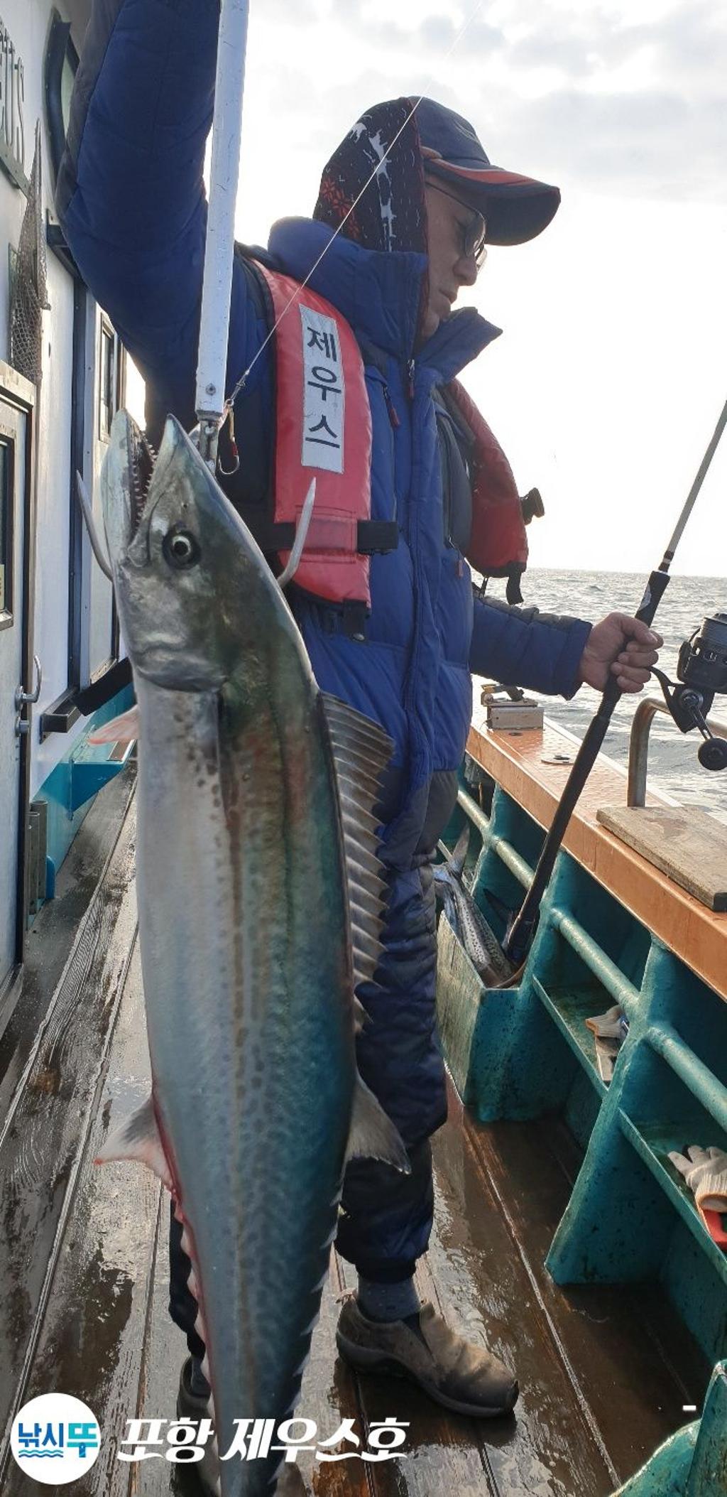낚시뚜,방어,삼치,영일만항,포항 제우스호,낚시뚜32