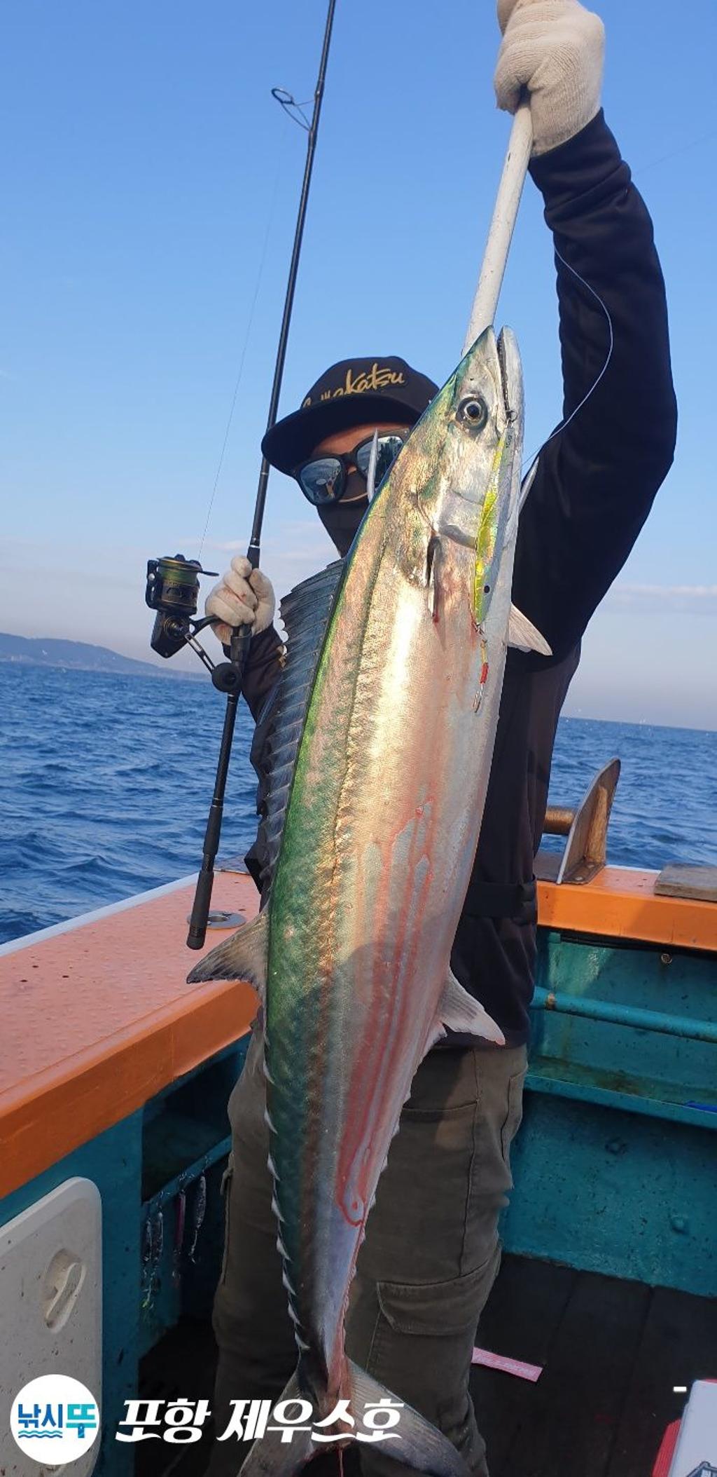 낚시뚜,방어,삼치,영일만항,포항 제우스호,낚시뚜31