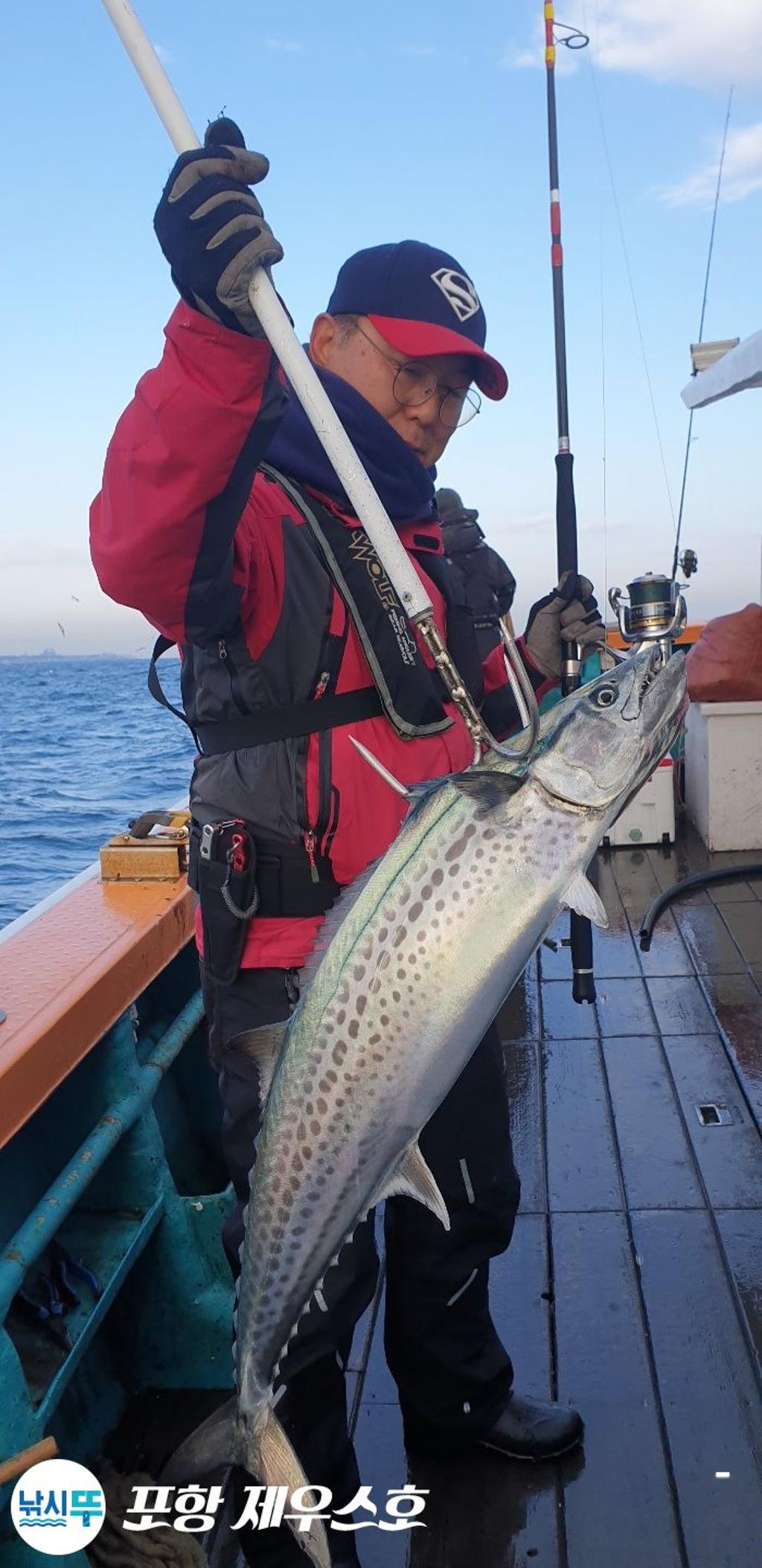 낚시뚜,방어,삼치,영일만항,포항 제우스호,낚시뚜29