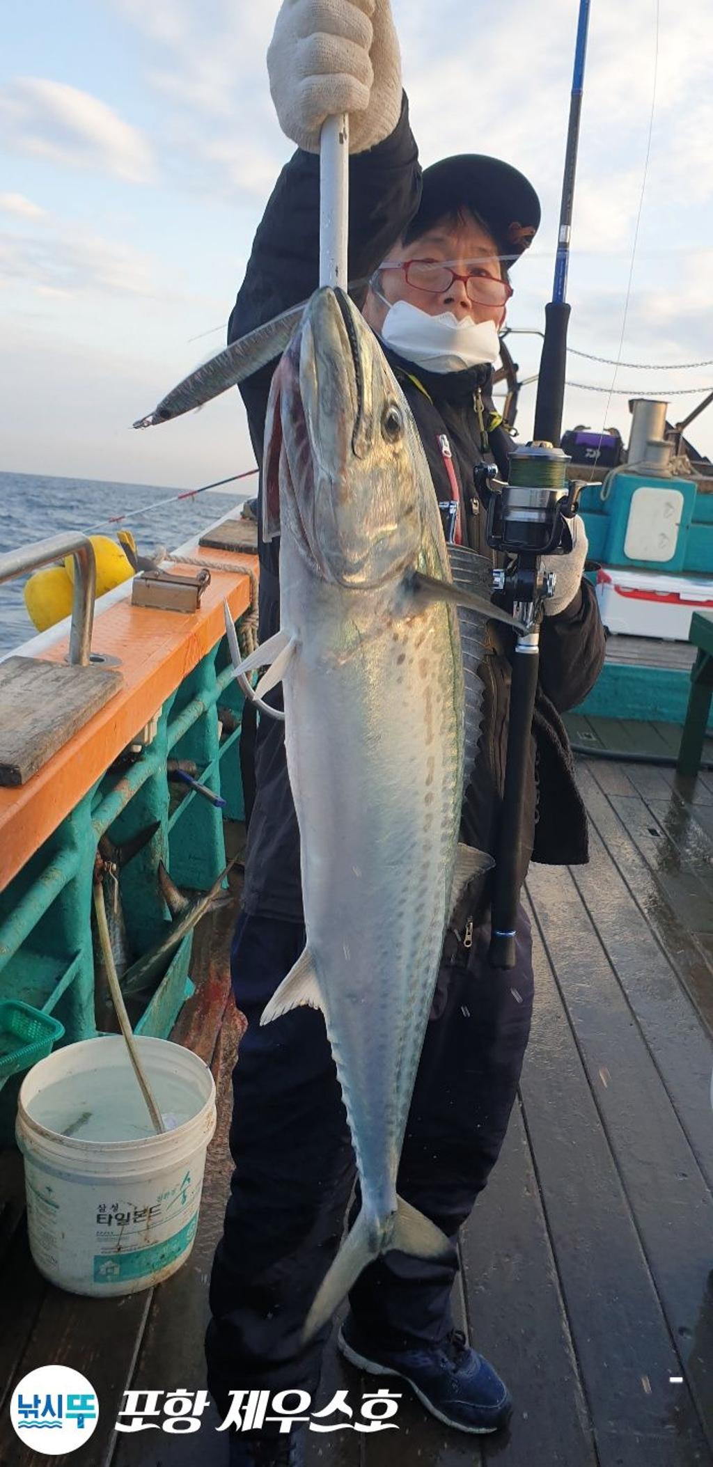 낚시뚜,방어,삼치,영일만항,포항 제우스호,낚시뚜28