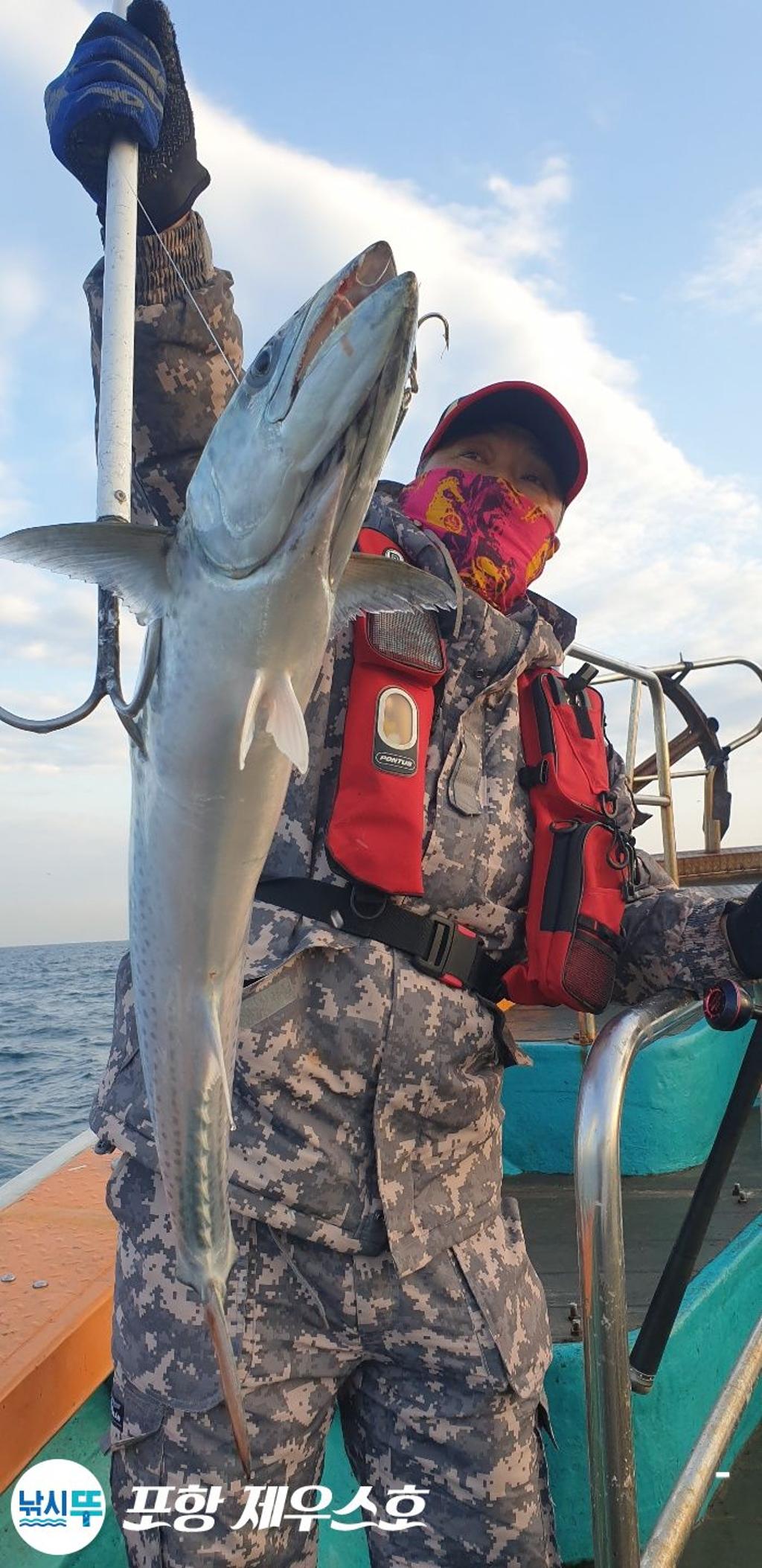 낚시뚜,방어,삼치,영일만항,포항 제우스호,낚시뚜27