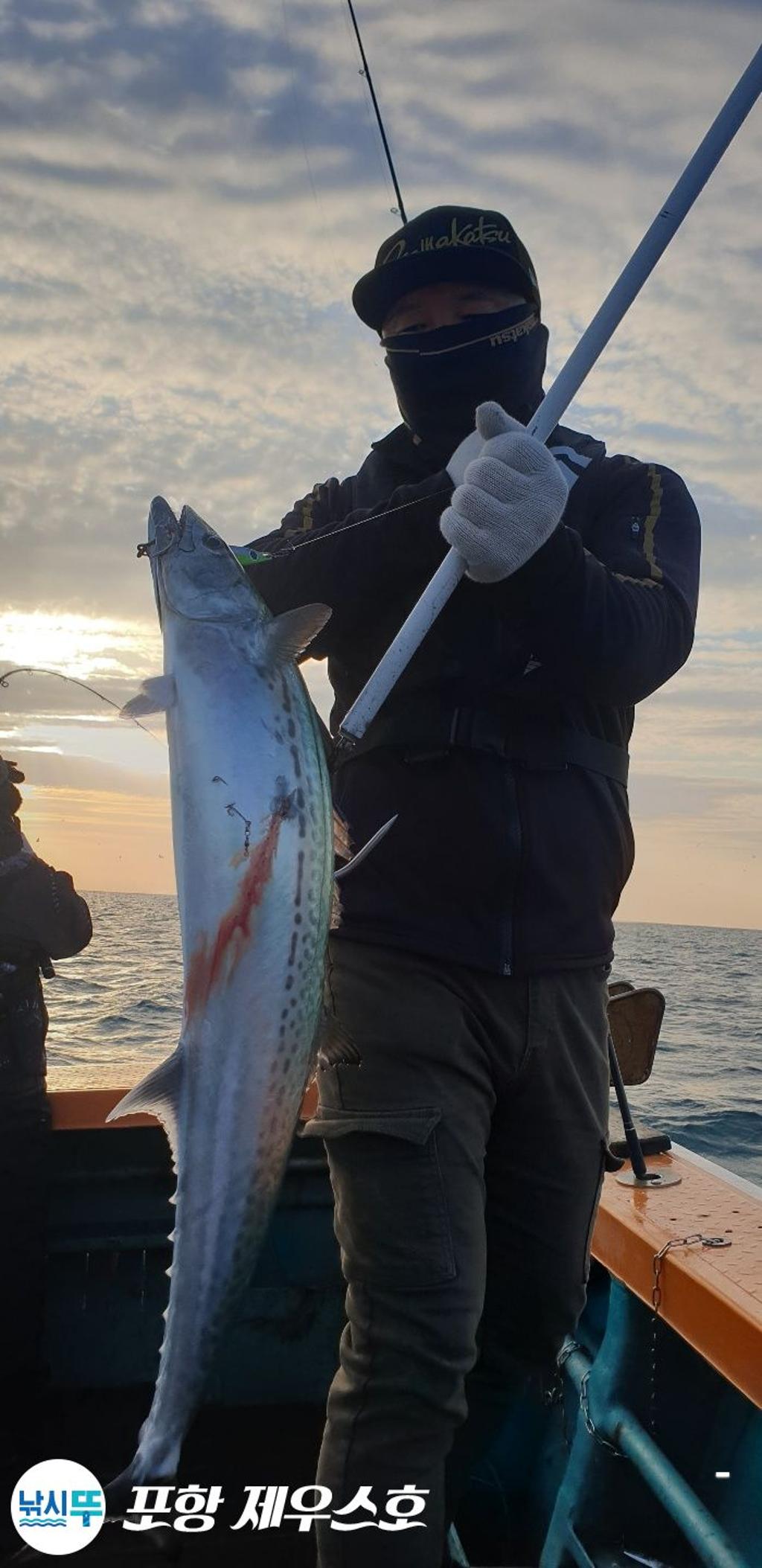 낚시뚜,방어,삼치,영일만항,포항 제우스호,낚시뚜26