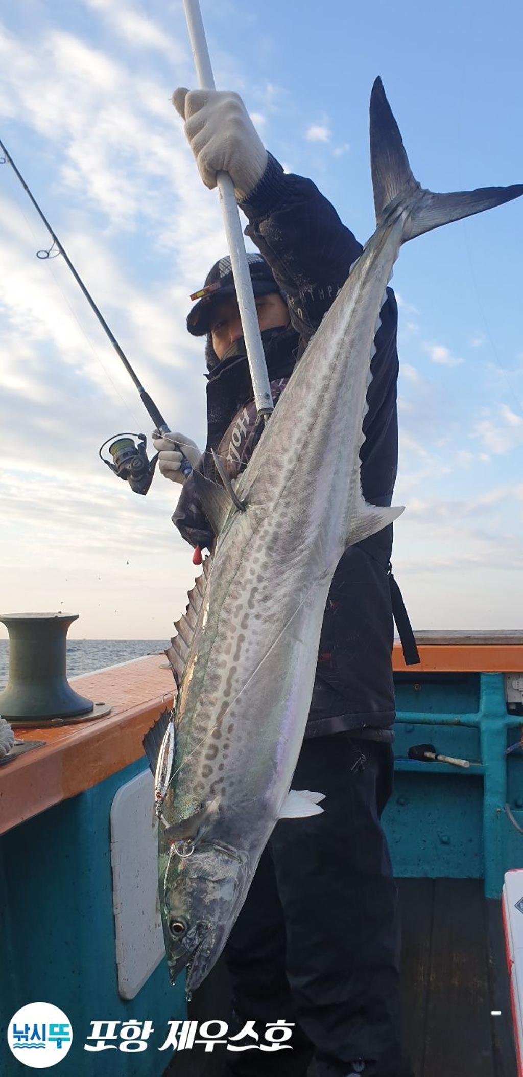 낚시뚜,방어,삼치,영일만항,포항 제우스호,낚시뚜23