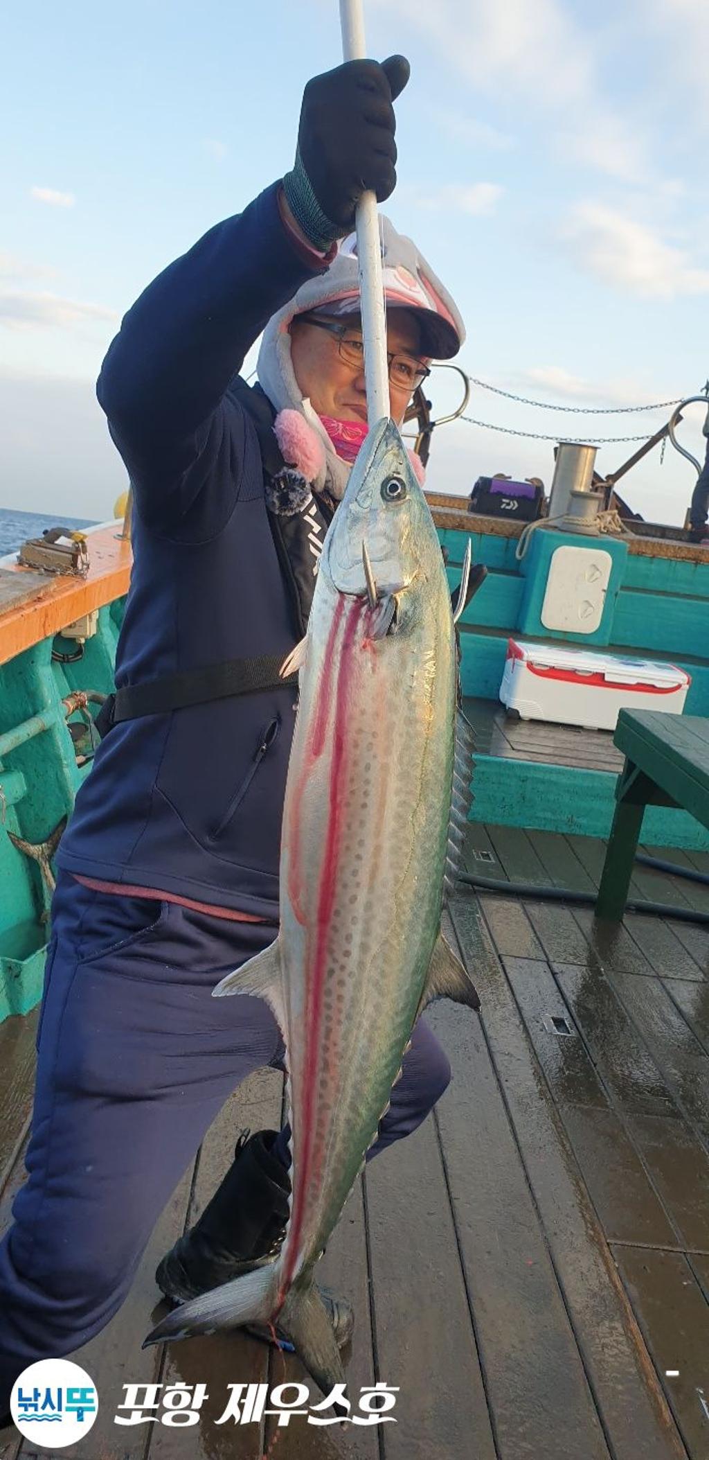 낚시뚜,방어,삼치,영일만항,포항 제우스호,낚시뚜17