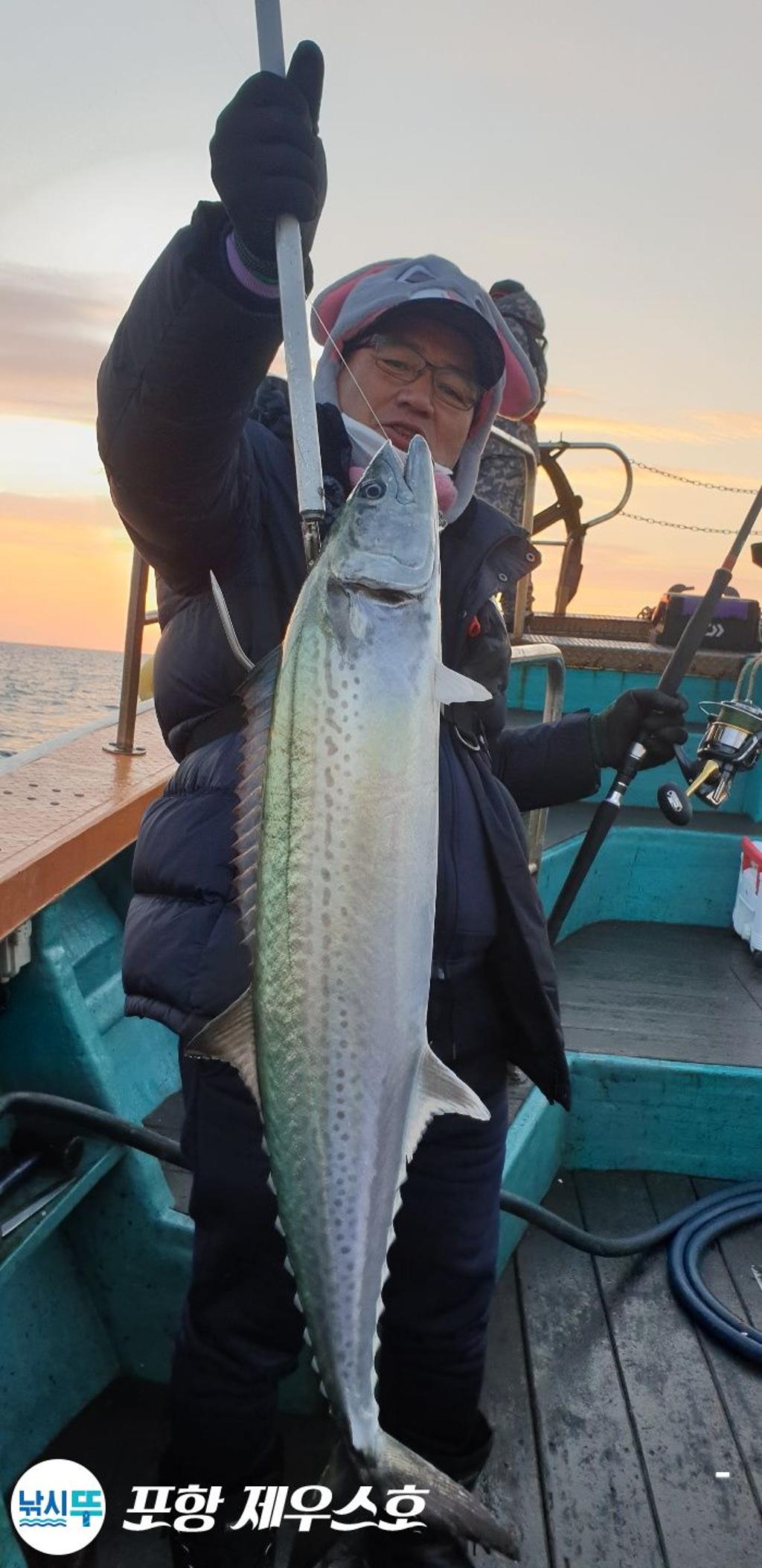 낚시뚜,방어,삼치,영일만항,포항 제우스호,낚시뚜15
