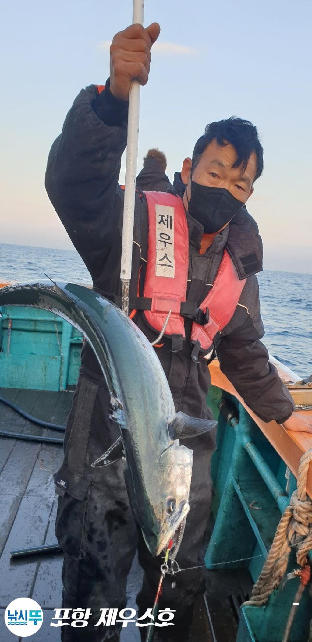 낚시뚜,방어,삼치,영일만항,포항 제우스호,낚시뚜14