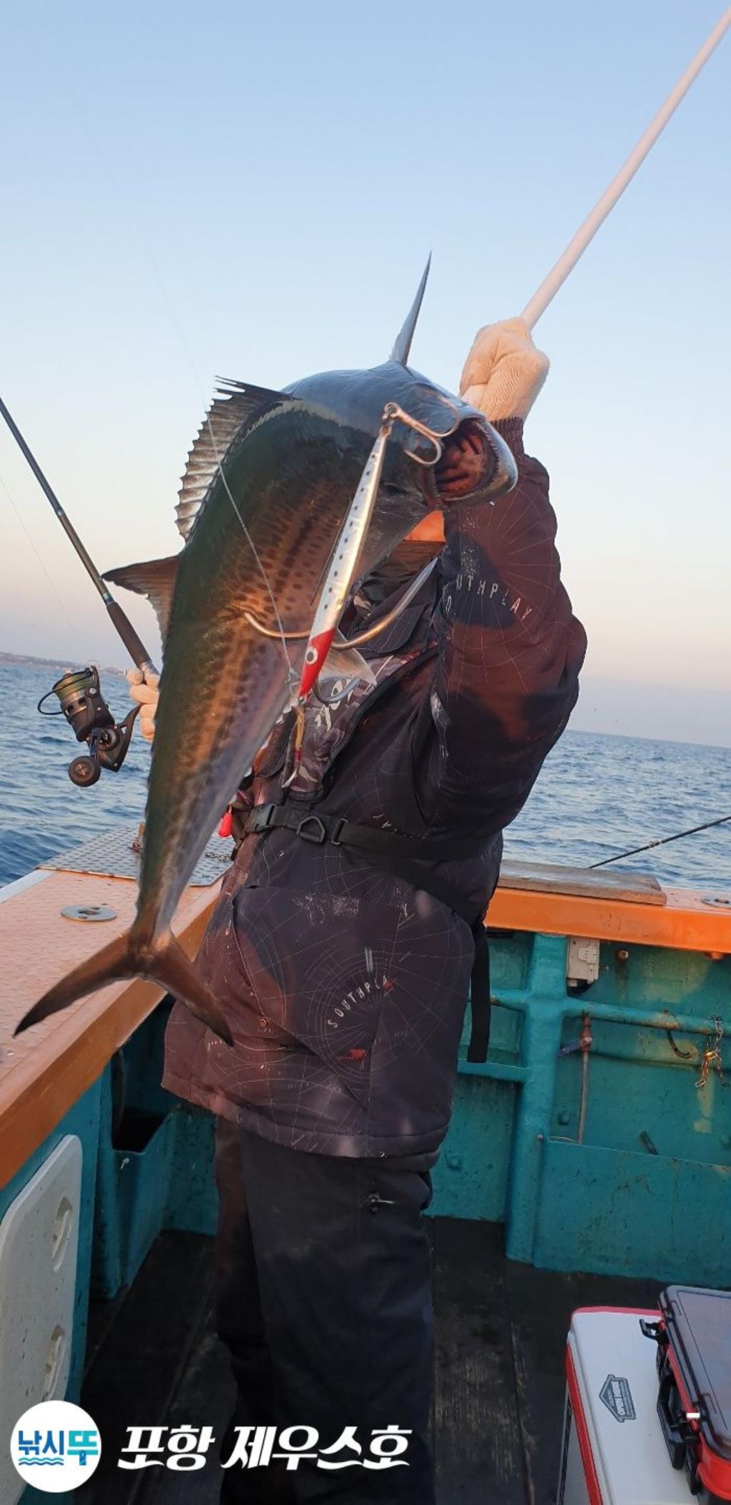낚시뚜,방어,삼치,영일만항,포항 제우스호,낚시뚜12