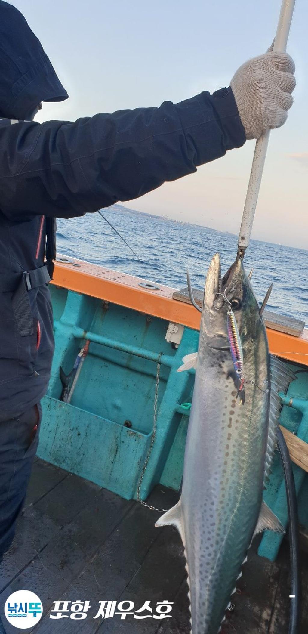 낚시뚜,방어,삼치,영일만항,포항 제우스호,낚시뚜10