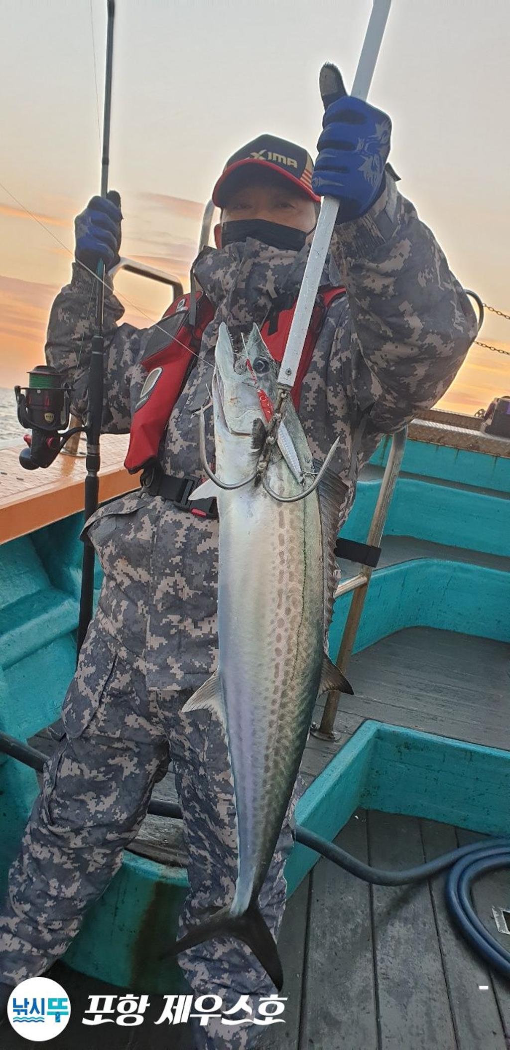 낚시뚜,방어,삼치,영일만항,포항 제우스호,낚시뚜9