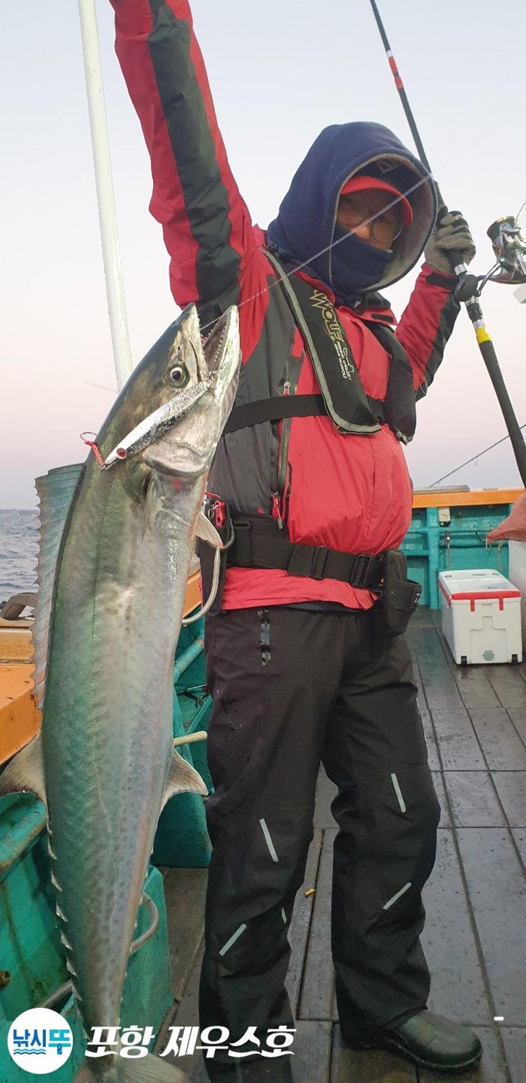 낚시뚜,방어,삼치,영일만항,포항 제우스호,낚시뚜3