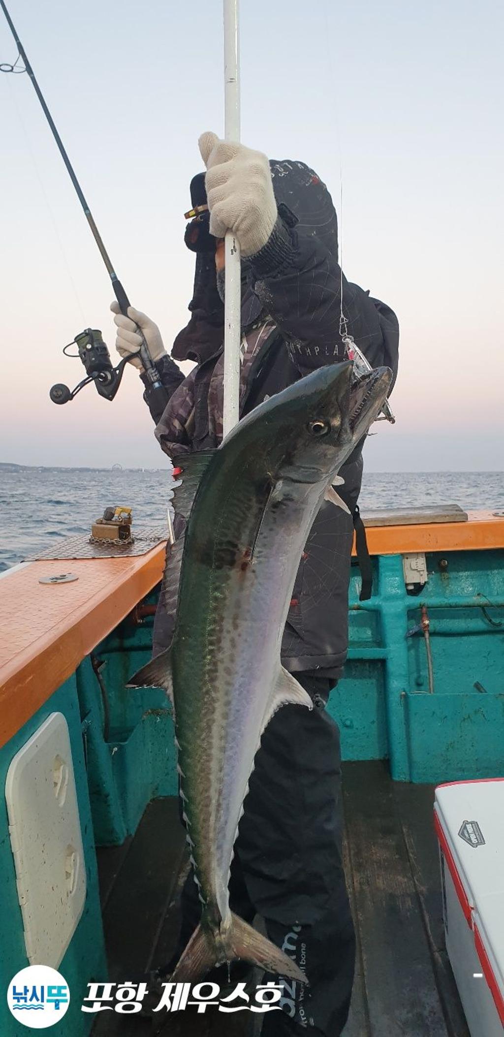 낚시뚜,방어,삼치,영일만항,포항 제우스호,낚시뚜0