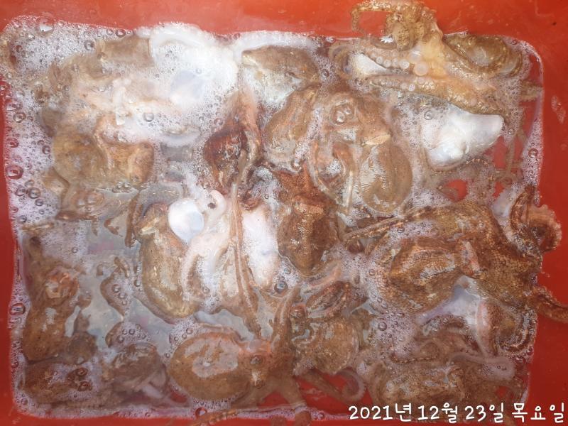 F15736336A.jpg