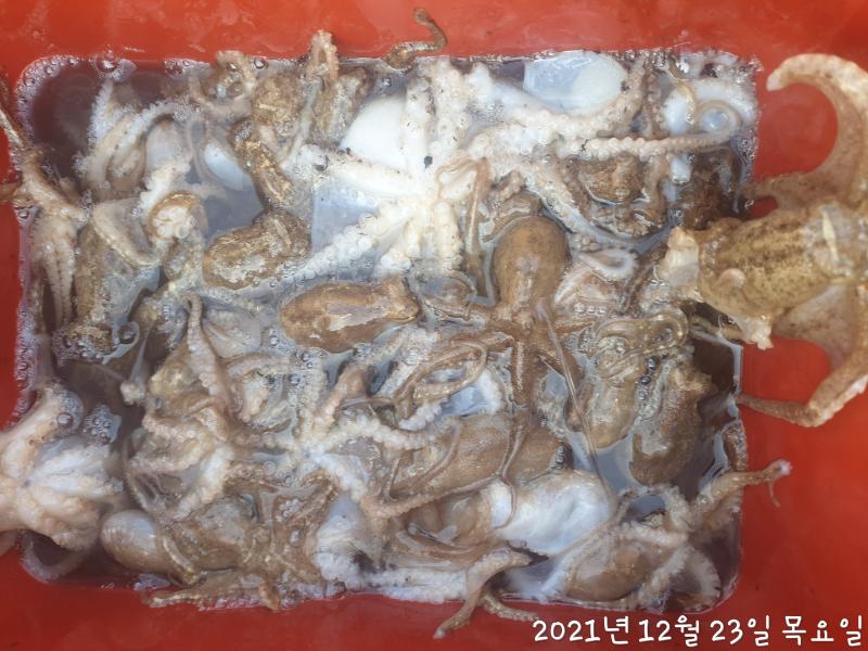 F157363467.jpg
