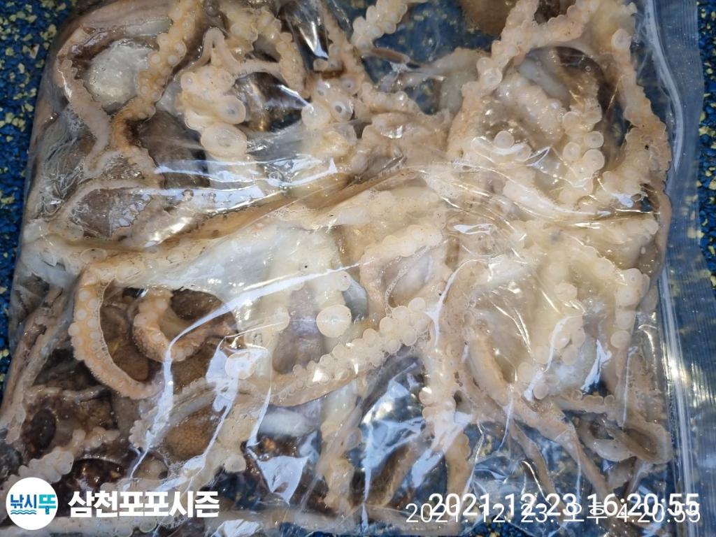 F1573965AP.jpg