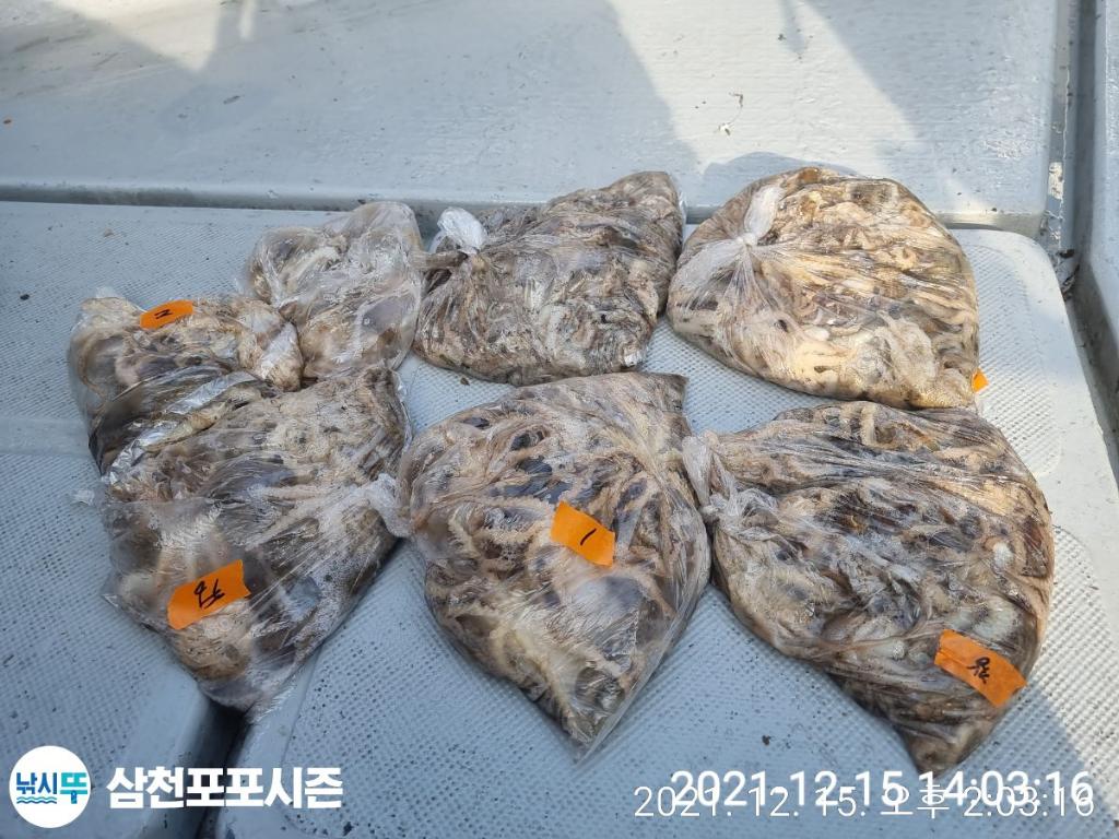 F1573981QN.jpg