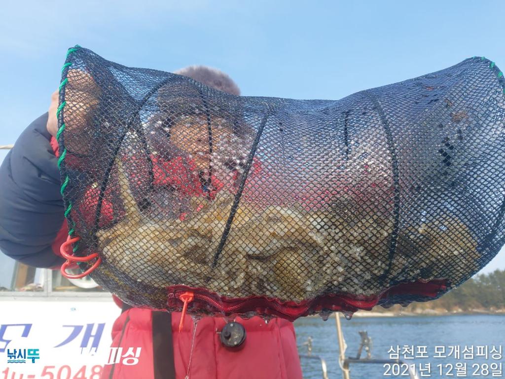 왕 대구빡 쭈꾸미가 쫙쫙합니다!!