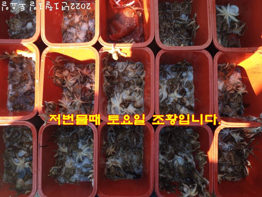 F15820309A.jpg