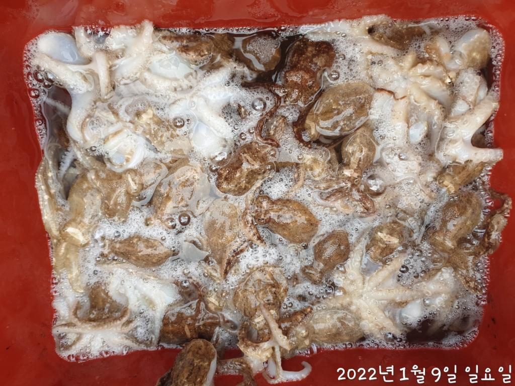 F158650034.jpg