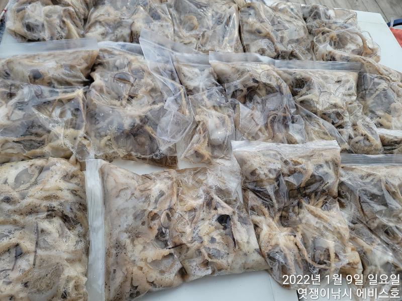 쭈꾸미~우~와~먹물파티~손맛 조~오~타!!내일부터 예약가능