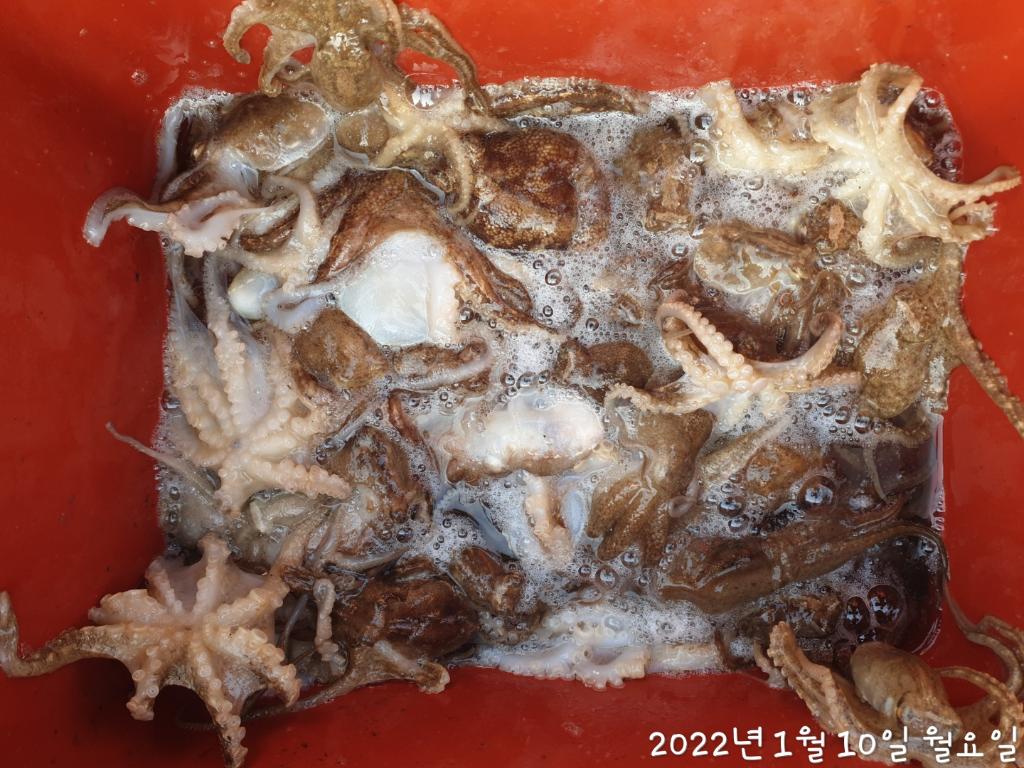 F1588963AJ.jpg