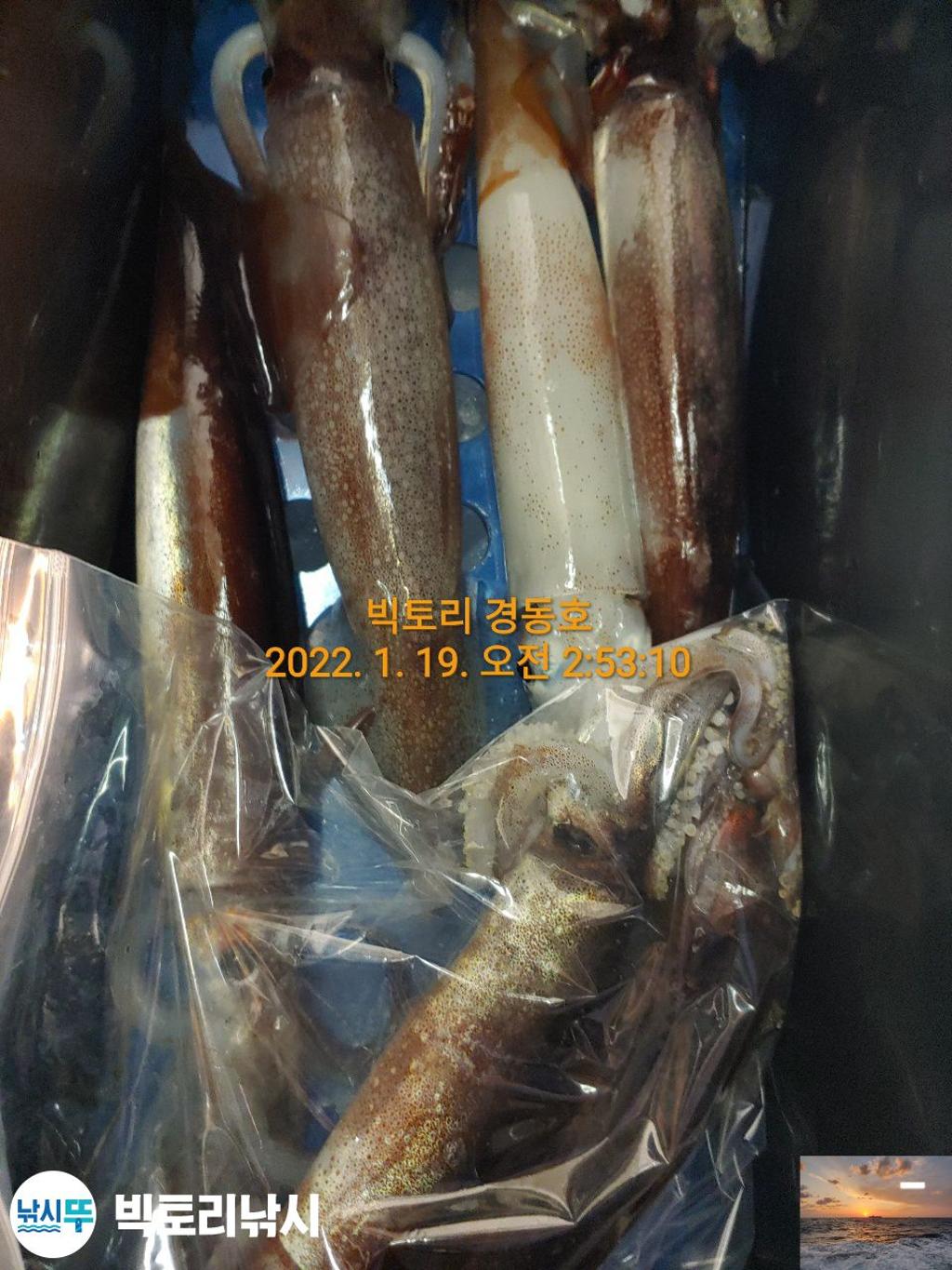 F1592757JV.jpg