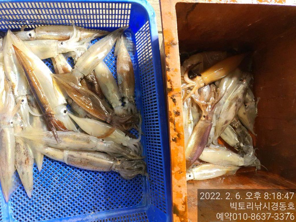 F1604597R1.jpg