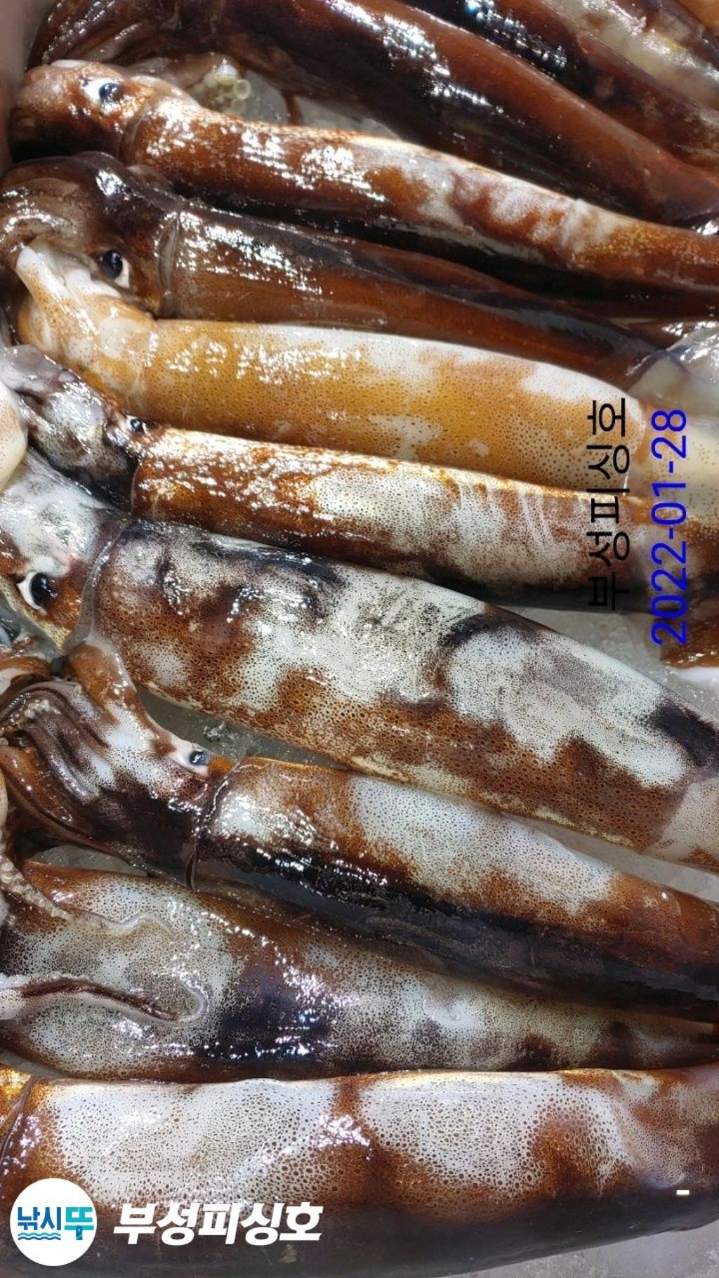 F1605373KH.jpg