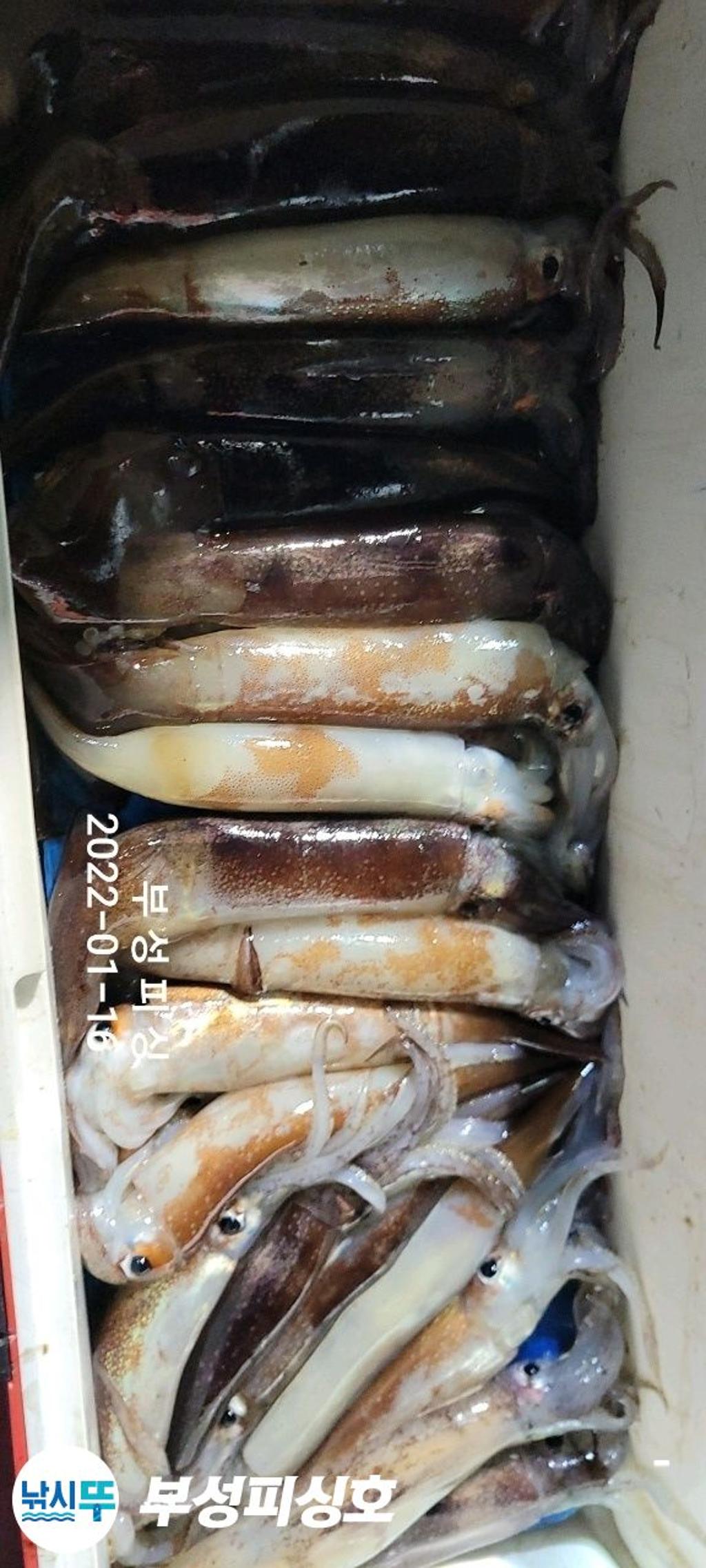 F1605379LP.jpg