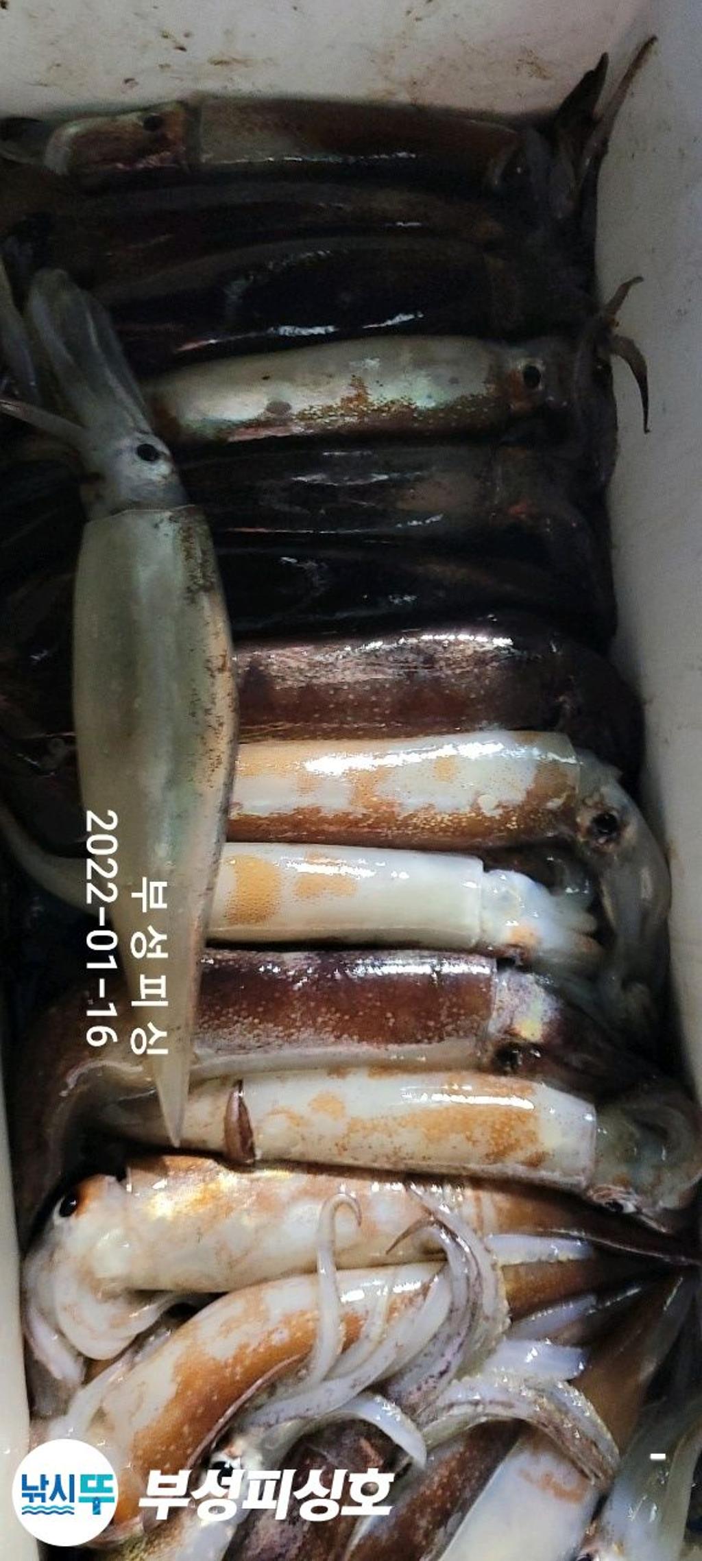 F1605380OD.jpg