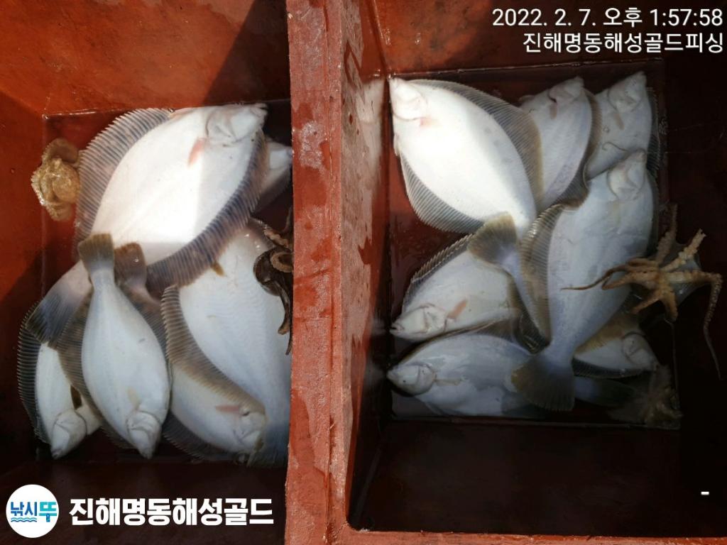 F1605803ZU.jpg