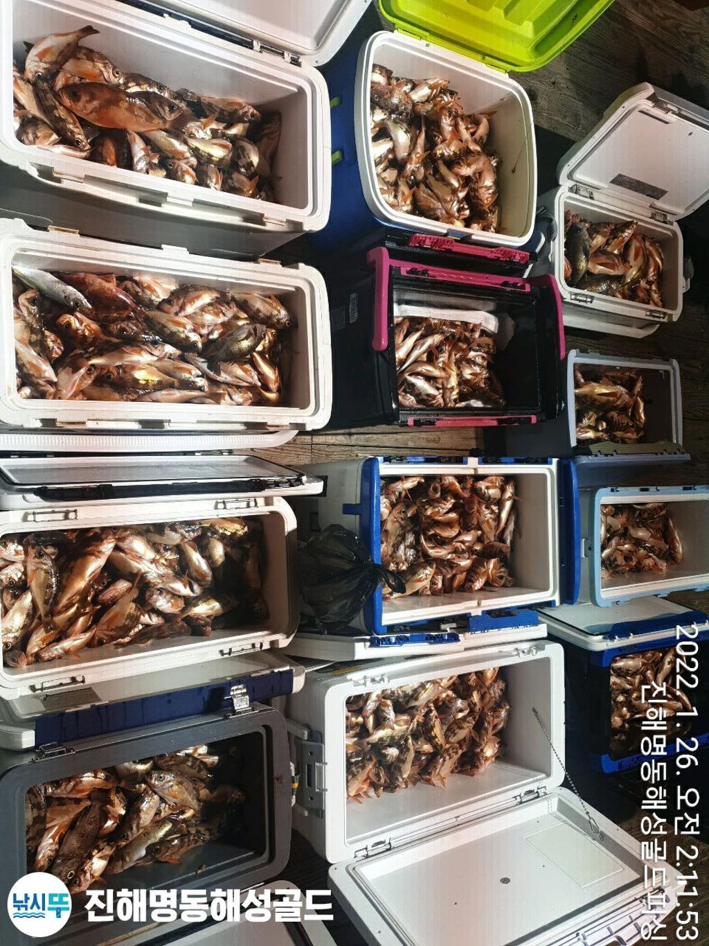 F1607262IL.jpg