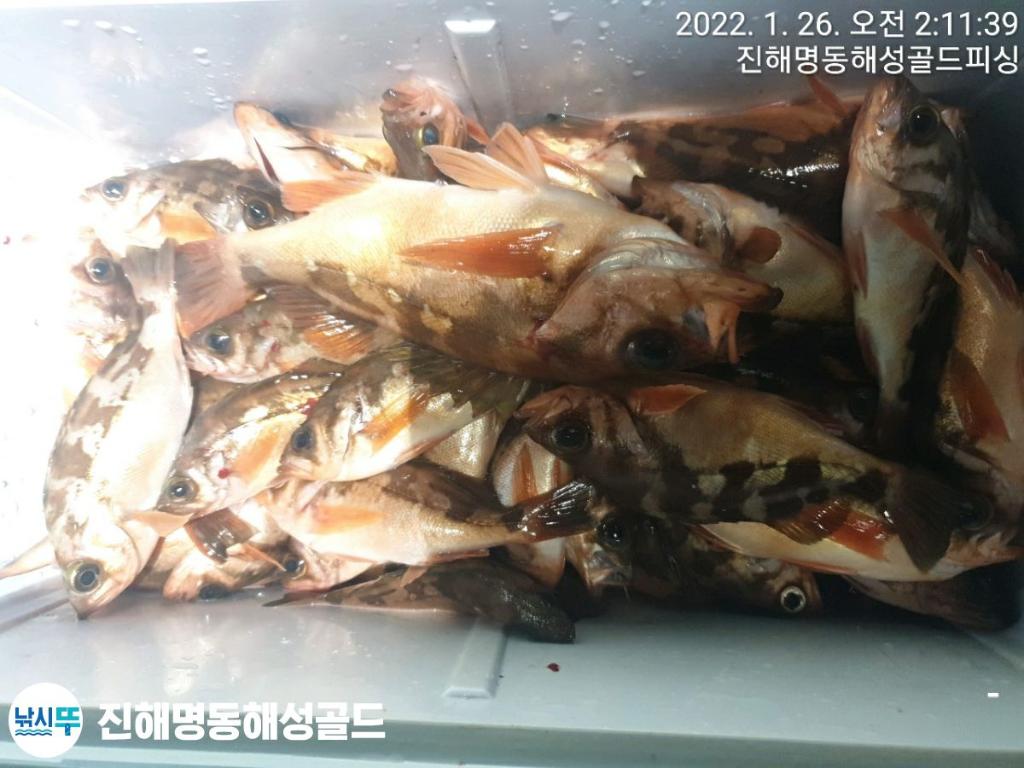 F1607268PF.jpg