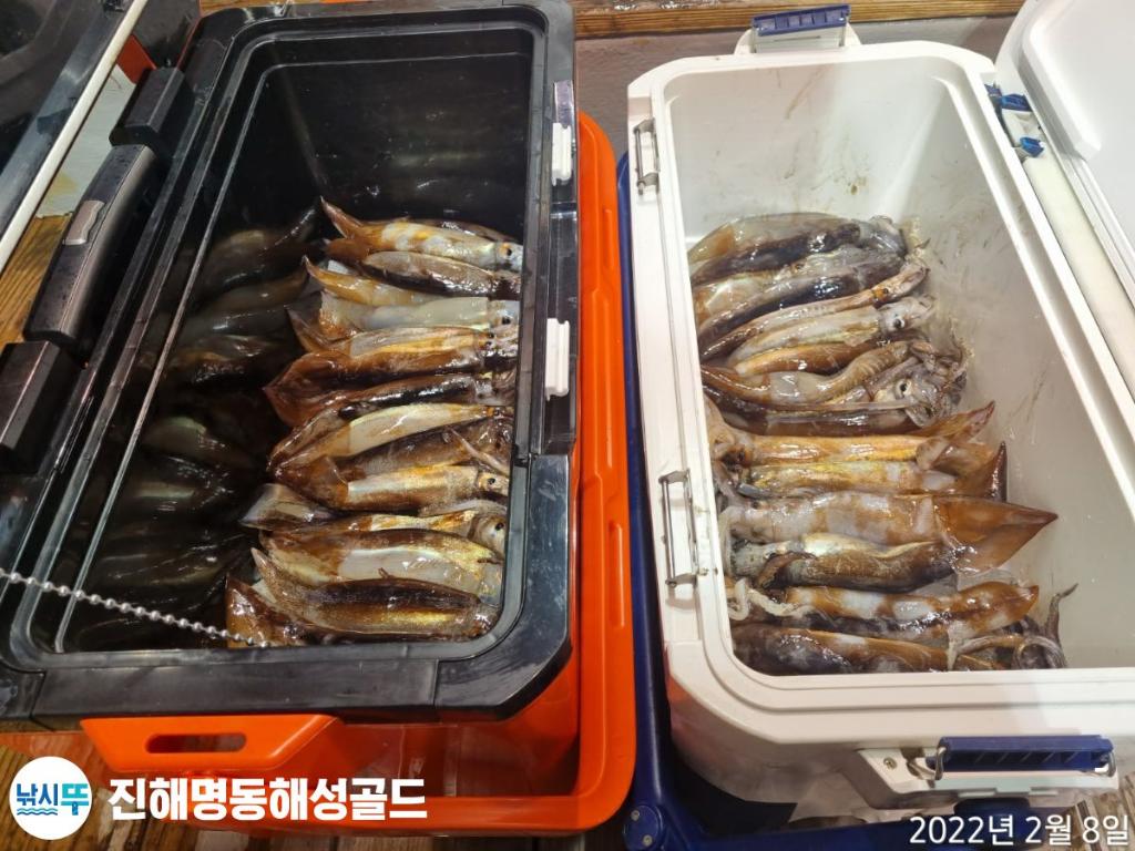F1609711WN.jpg
