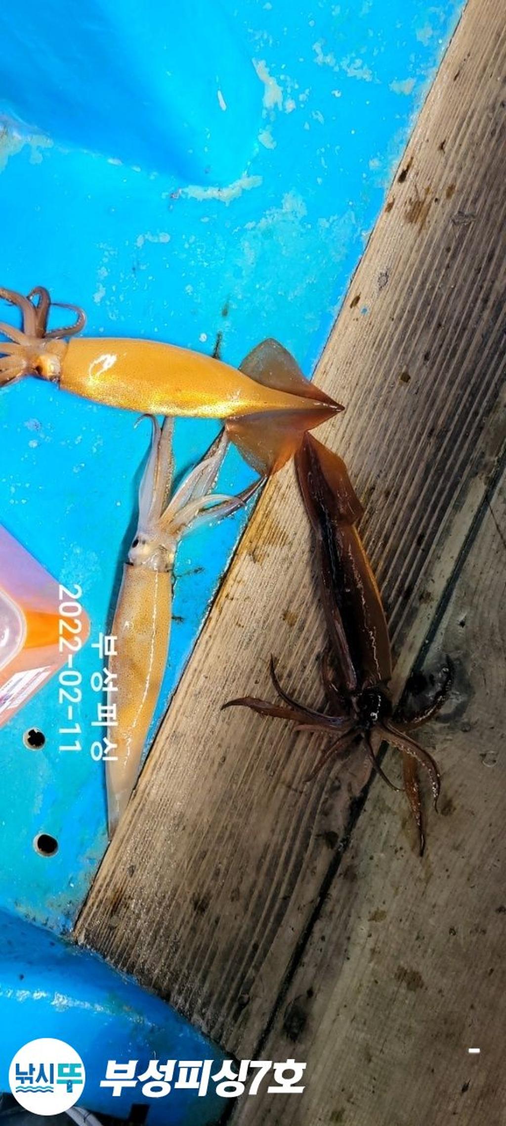 F16104116X.jpg