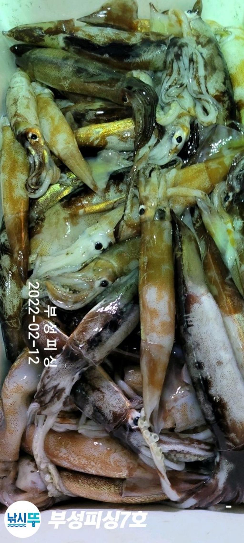 F16104165F.jpg
