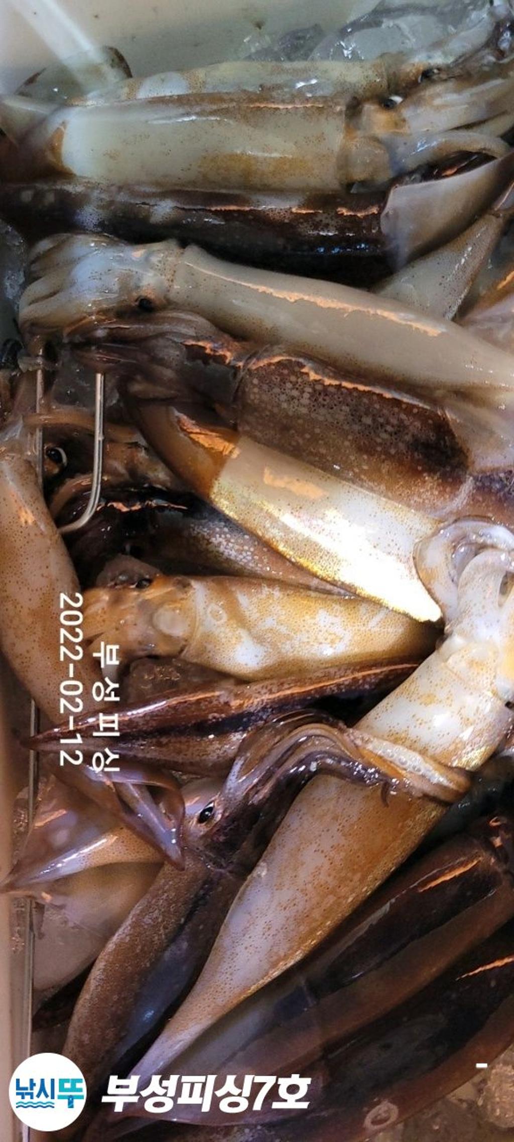 F16104181C.jpg