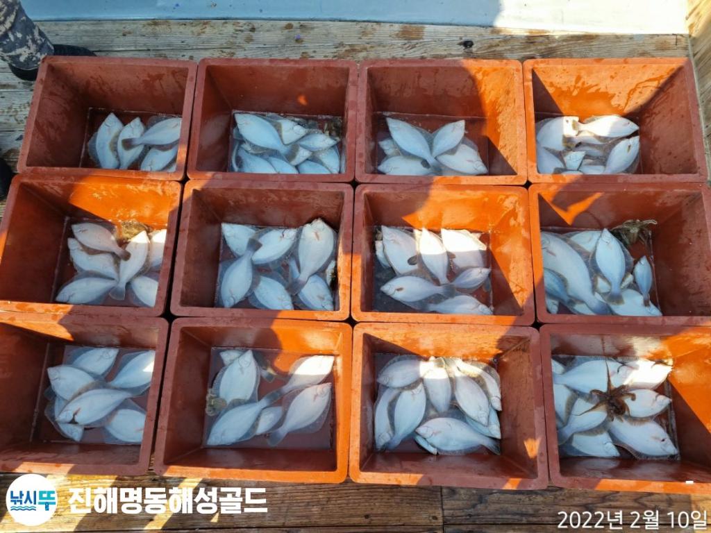 F1612846CY.jpg