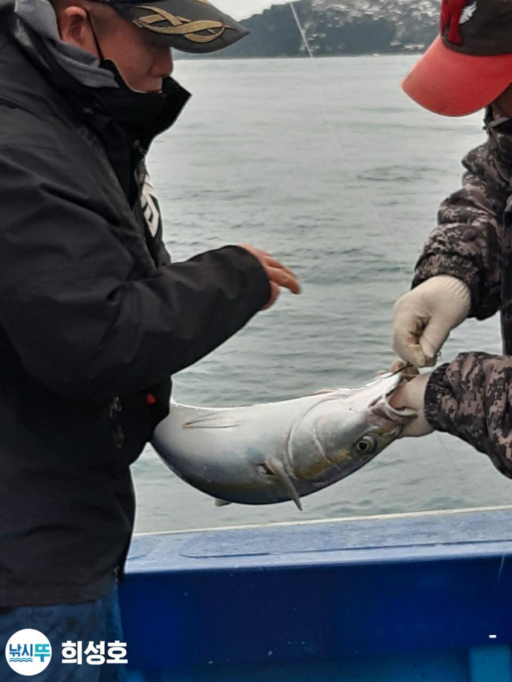 F16233267L.jpg