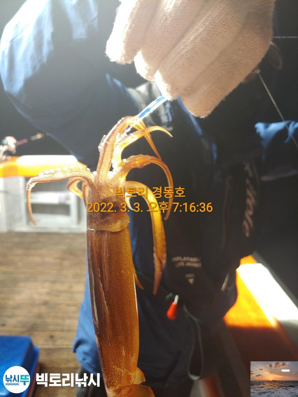 F1623388QB.jpg