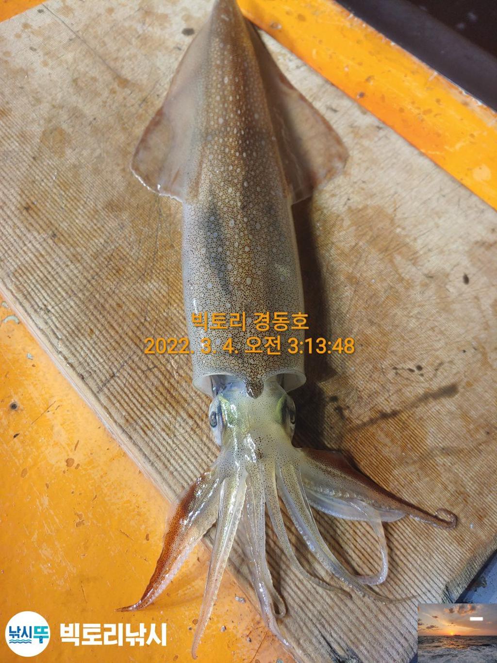 F1623390H5.jpg