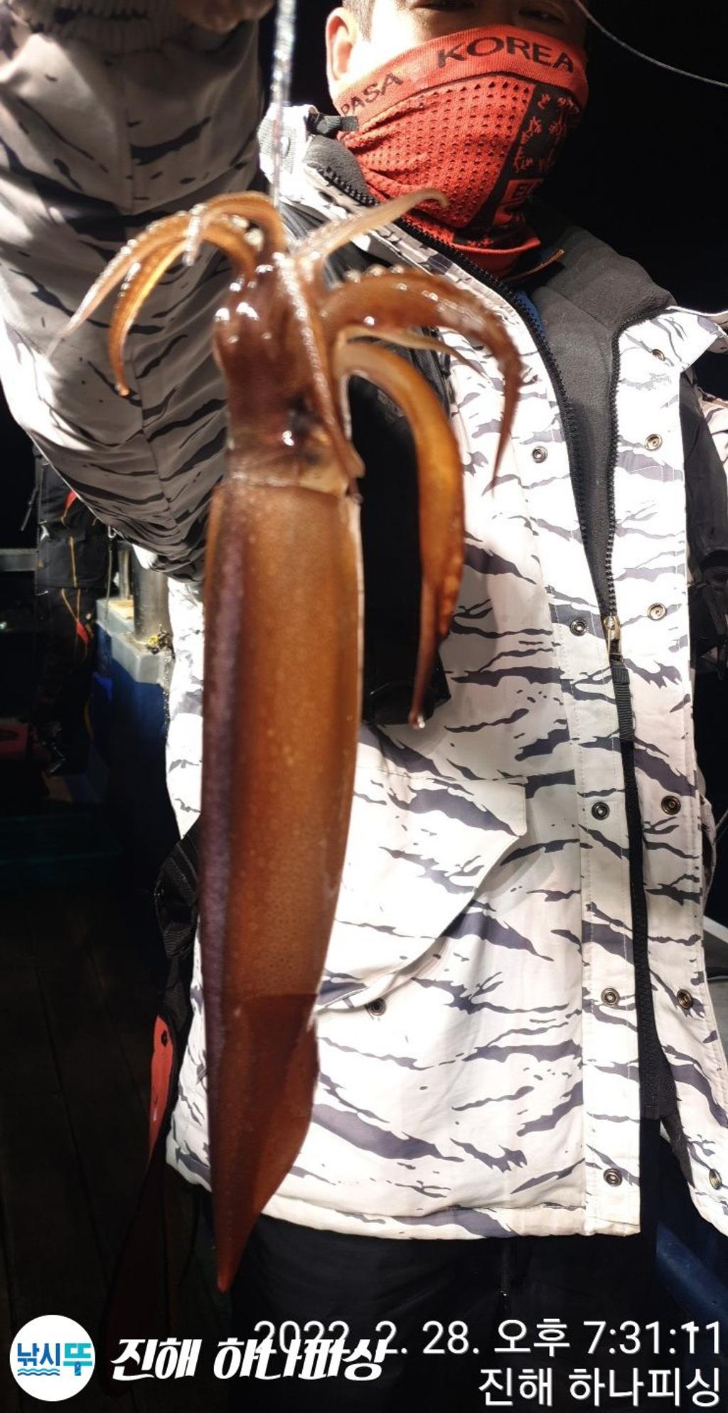 F1623975NF.jpg