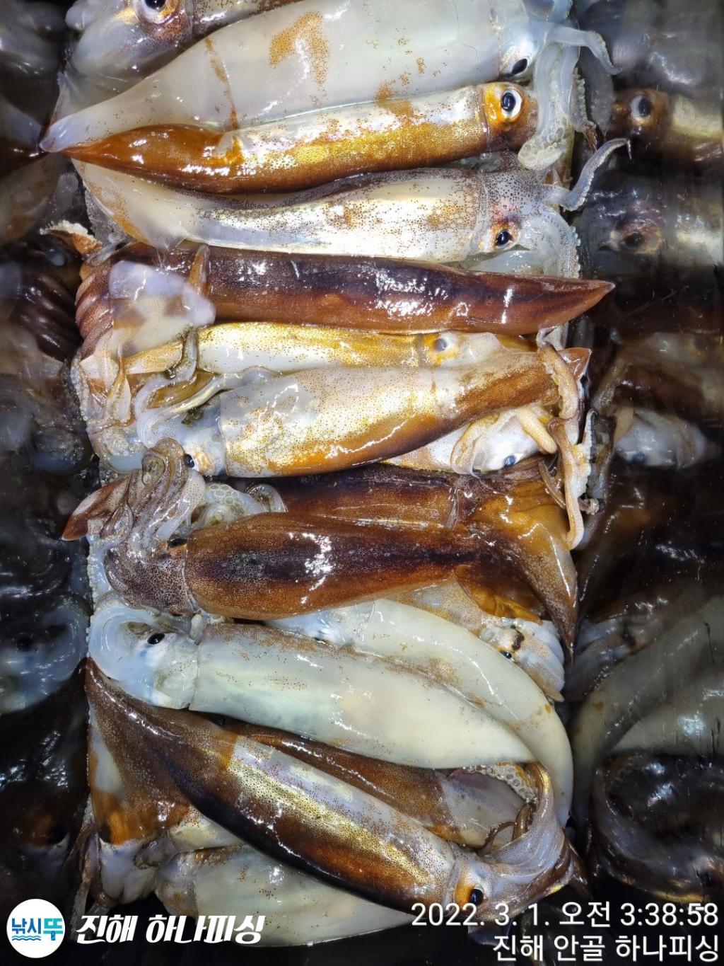 F1623988E4.jpg