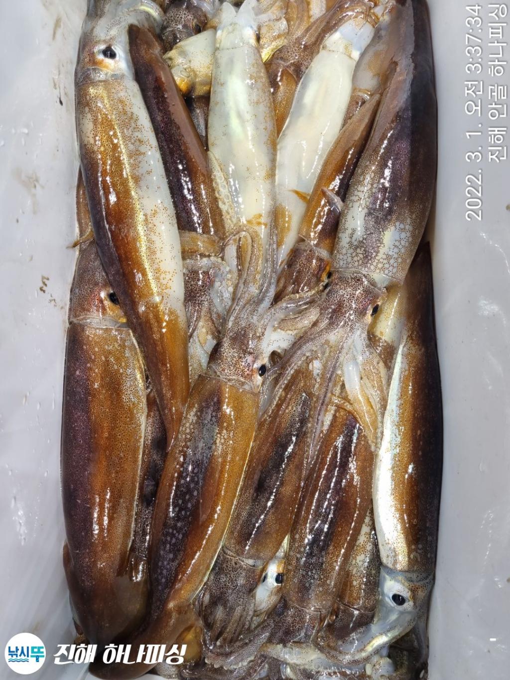 F1623989B5.jpg