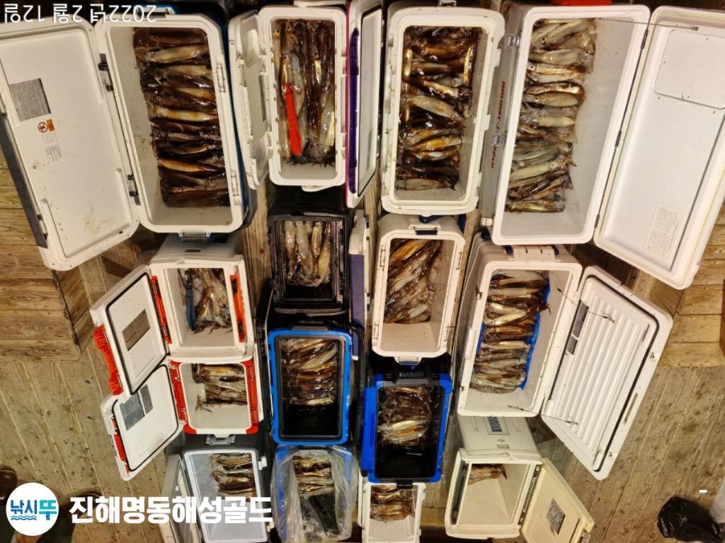 F16240198D.jpg